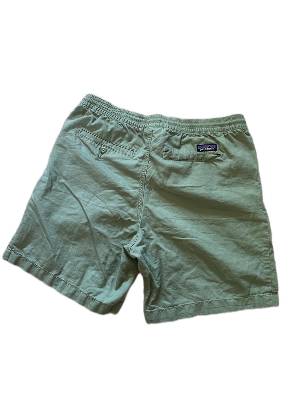 Patagonia Light Green Men's Shorts